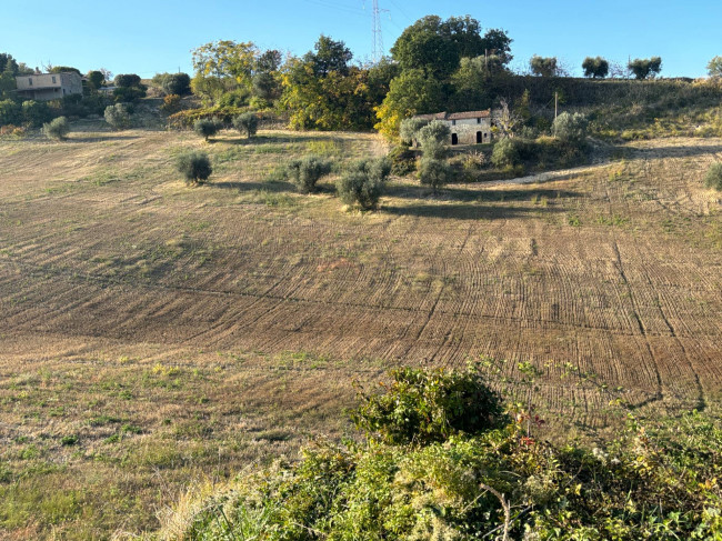 CASA COLONICA in vendita a Massignano