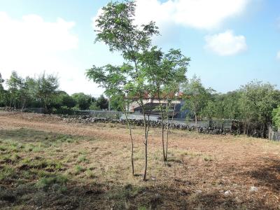 Terreno edificabile in vendita a San Martino Del Carso, Sagrado (GO)