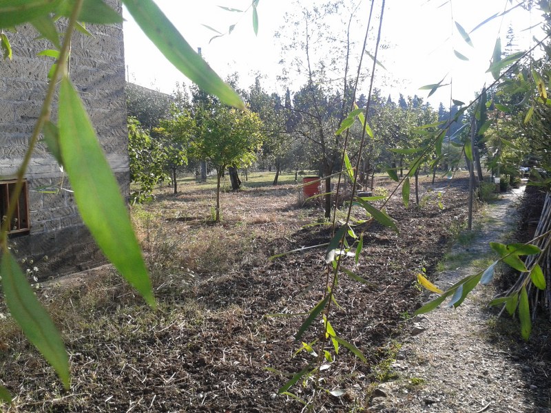Villa FOGLIANISE vendita    Iadanza servizi immobiliari RE