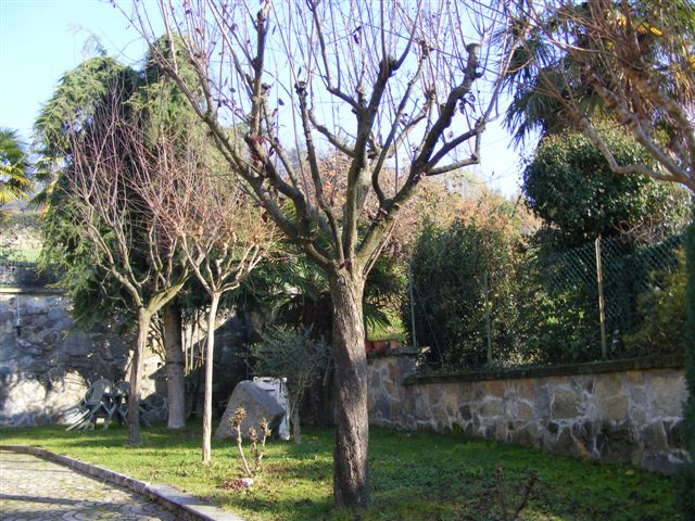 Appartamento VIVERONE affitto    ITI Torino-Ivrea