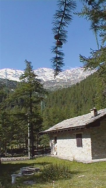 Rustico - Cascina CERESOLE REALE vendita    ITI Torino-Ivrea