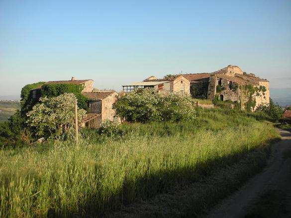 Stabile intero - Palazzo PAGO VEIANO vendita    Iadanza servizi immobiliari RE