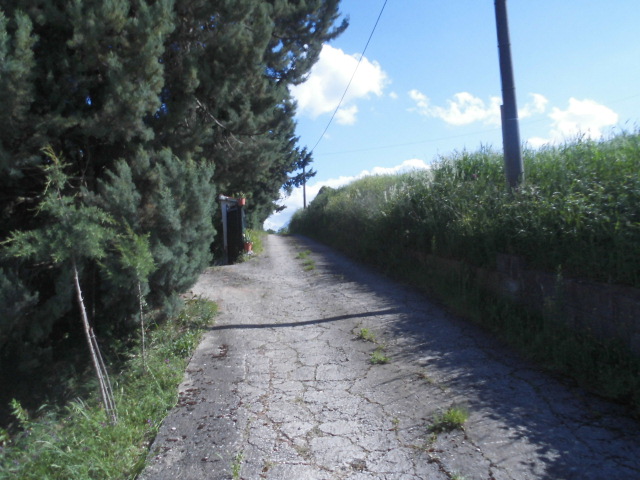Terreno BENEVENTO vendita  CONTRADE  Iadanza servizi immobiliari RE
