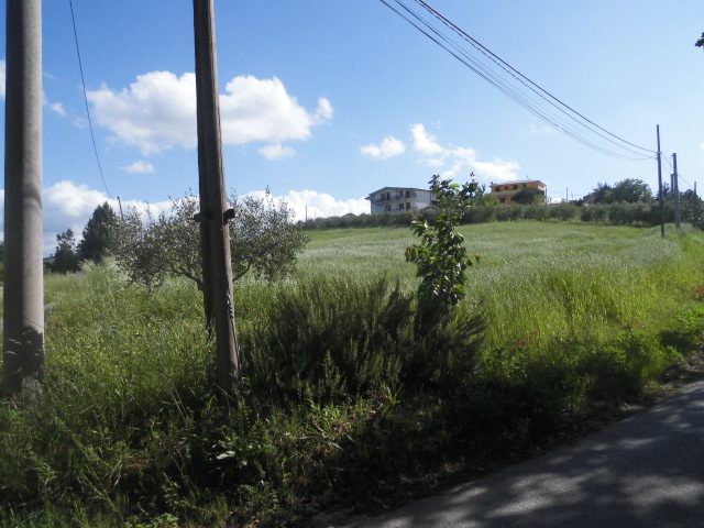 Terreno BENEVENTO vendita  CONTRADE  Iadanza servizi immobiliari RE