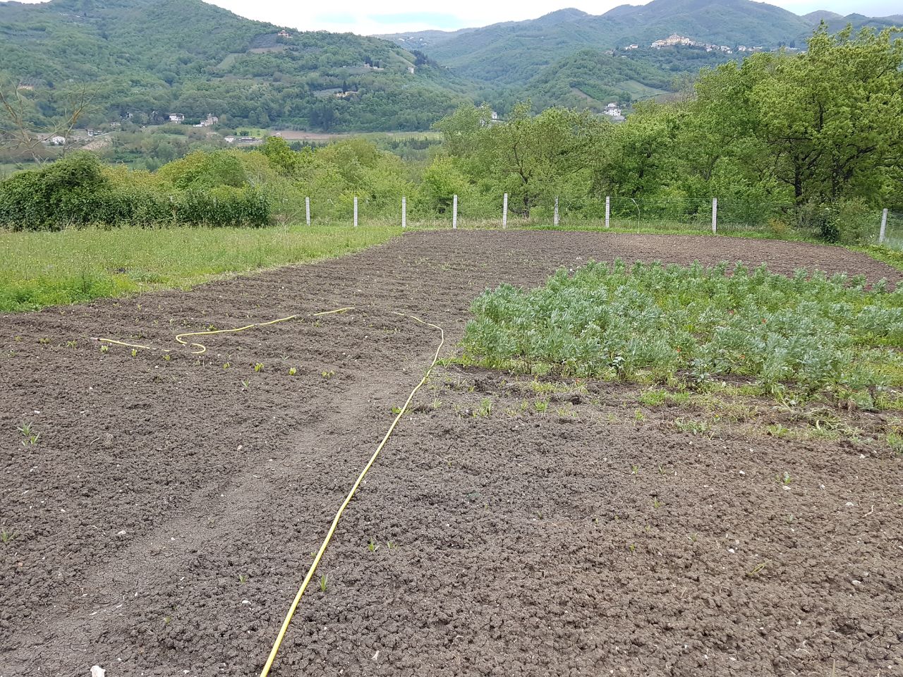 Terreno BENEVENTO vendita    Iadanza servizi immobiliari RE