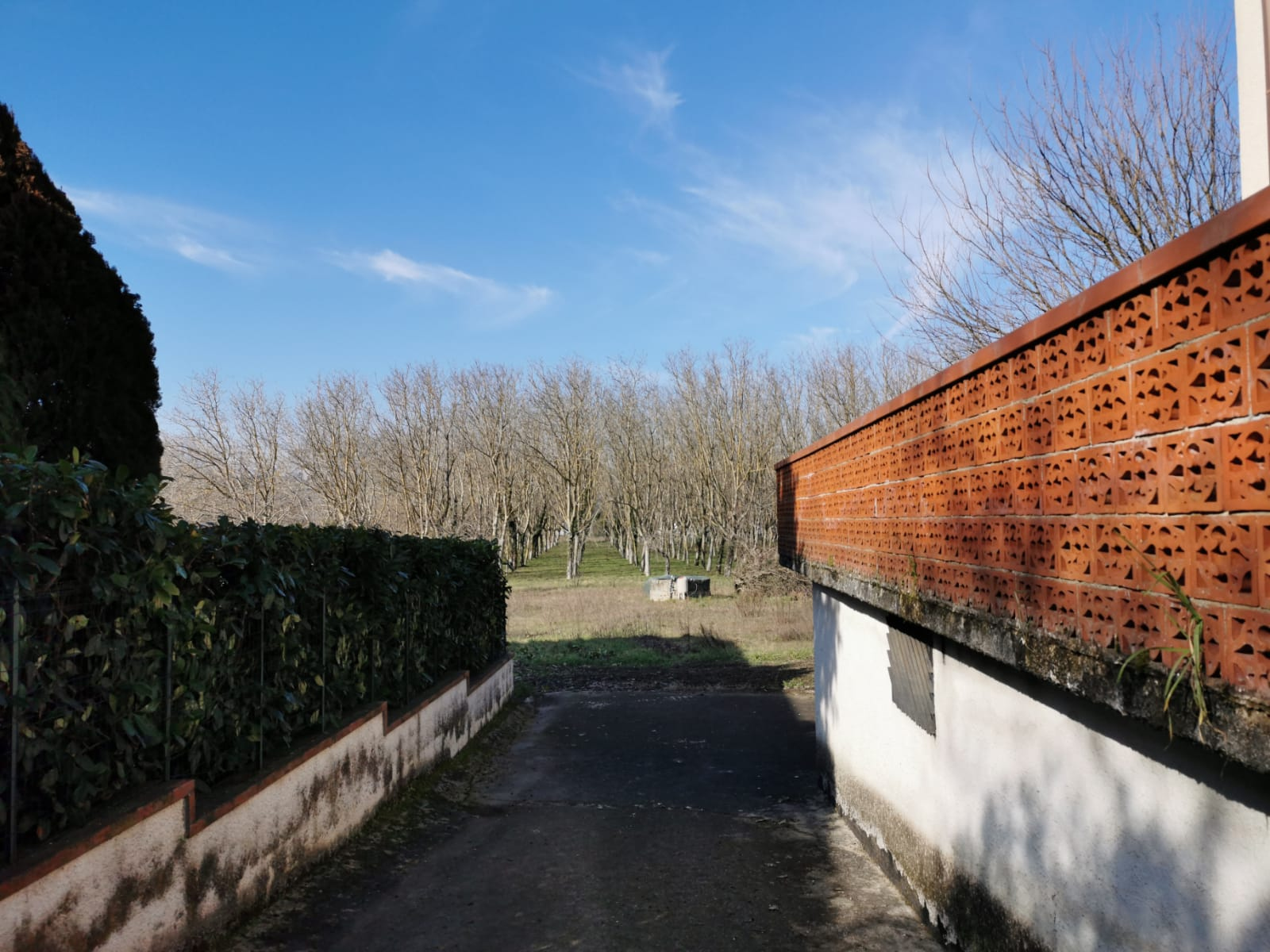 Villa Unifamiliare - Indipendente BENEVENTO vendita  CONTRADE  Iadanza servizi immobiliari RE