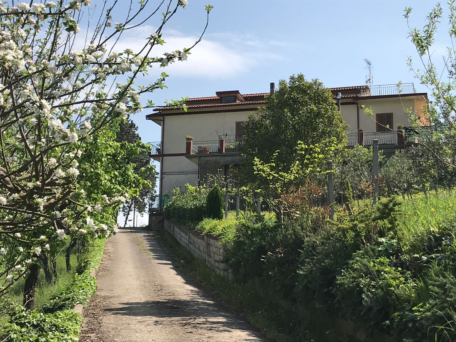 Villa Unifamiliare - Indipendente BENEVENTO vendita  CONTRADE  Iadanza servizi immobiliari RE