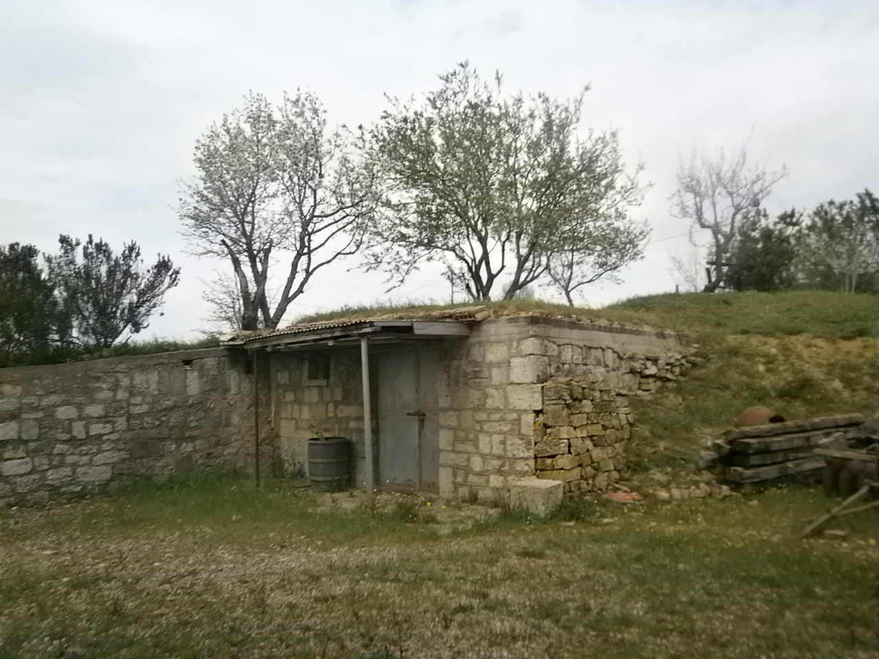 Villa Unifamiliare - Indipendente BUONALBERGO vendita    Iadanza servizi immobiliari RE