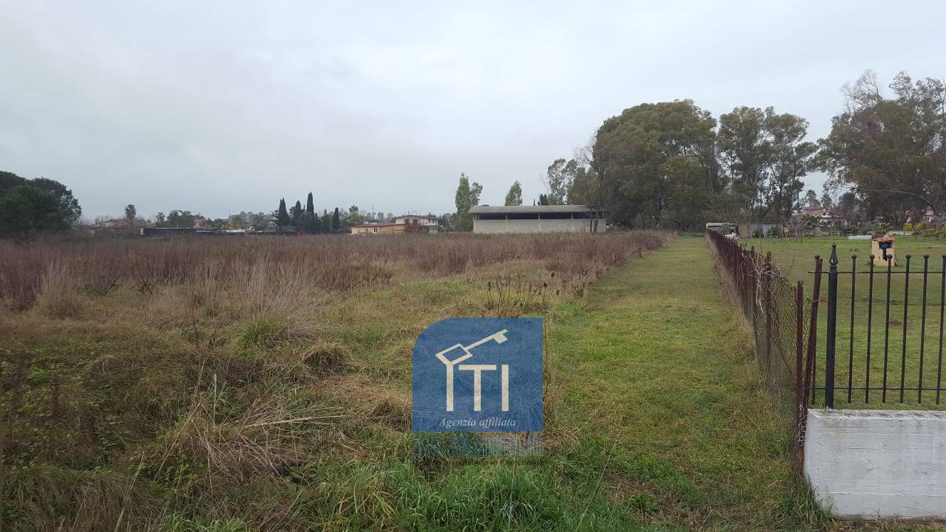 Terreno LATINA affitto  Borghi Lido di Latina  ITI Latina