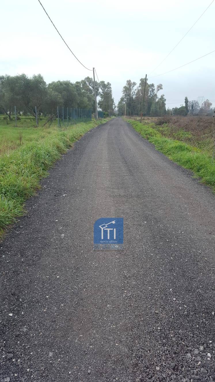 Terreno LATINA affitto  Borghi Lido di Latina  ITI Latina