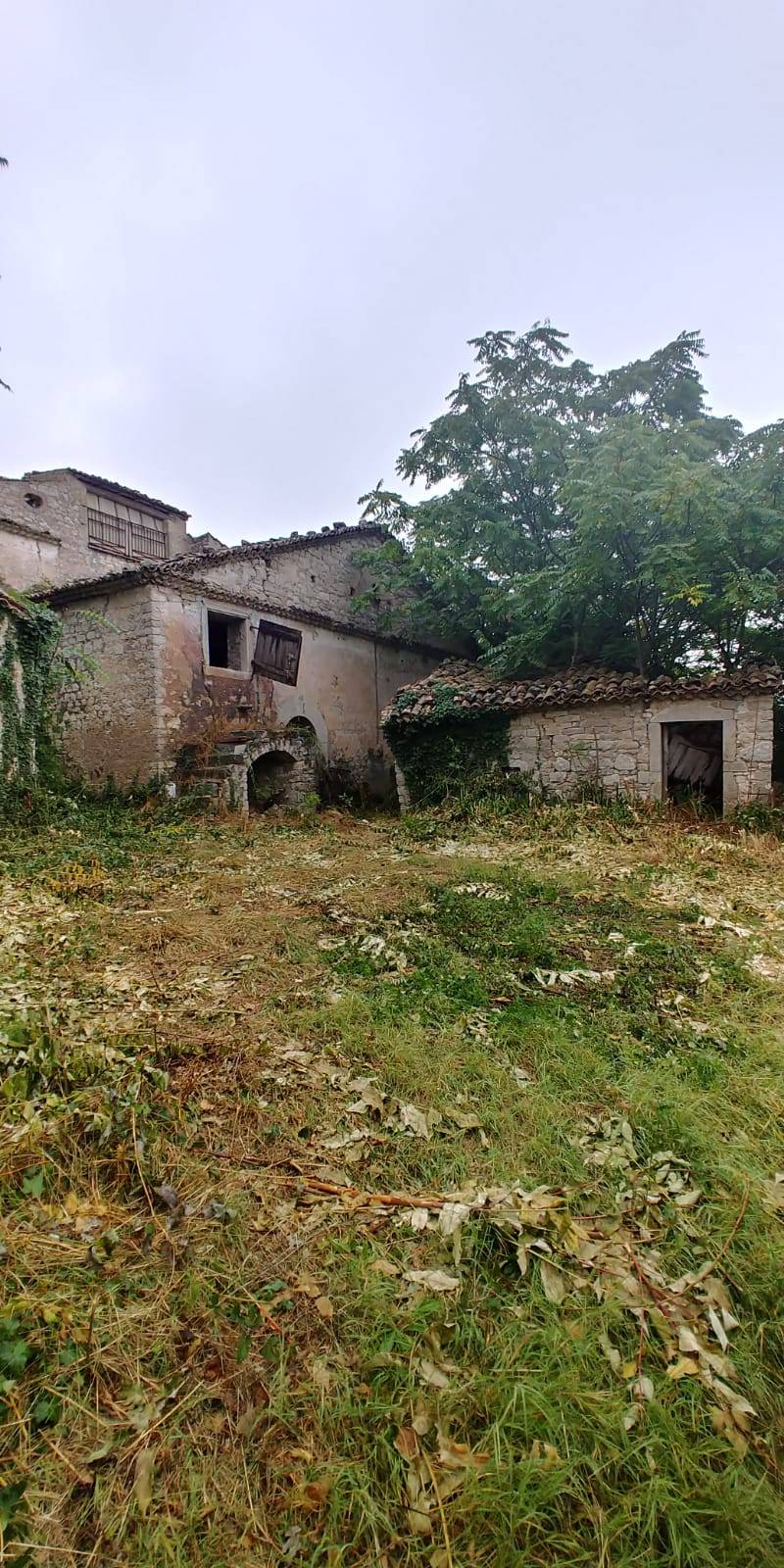 Rustico - Cascina RICCIA vendita    Iadanza servizi immobiliari RE