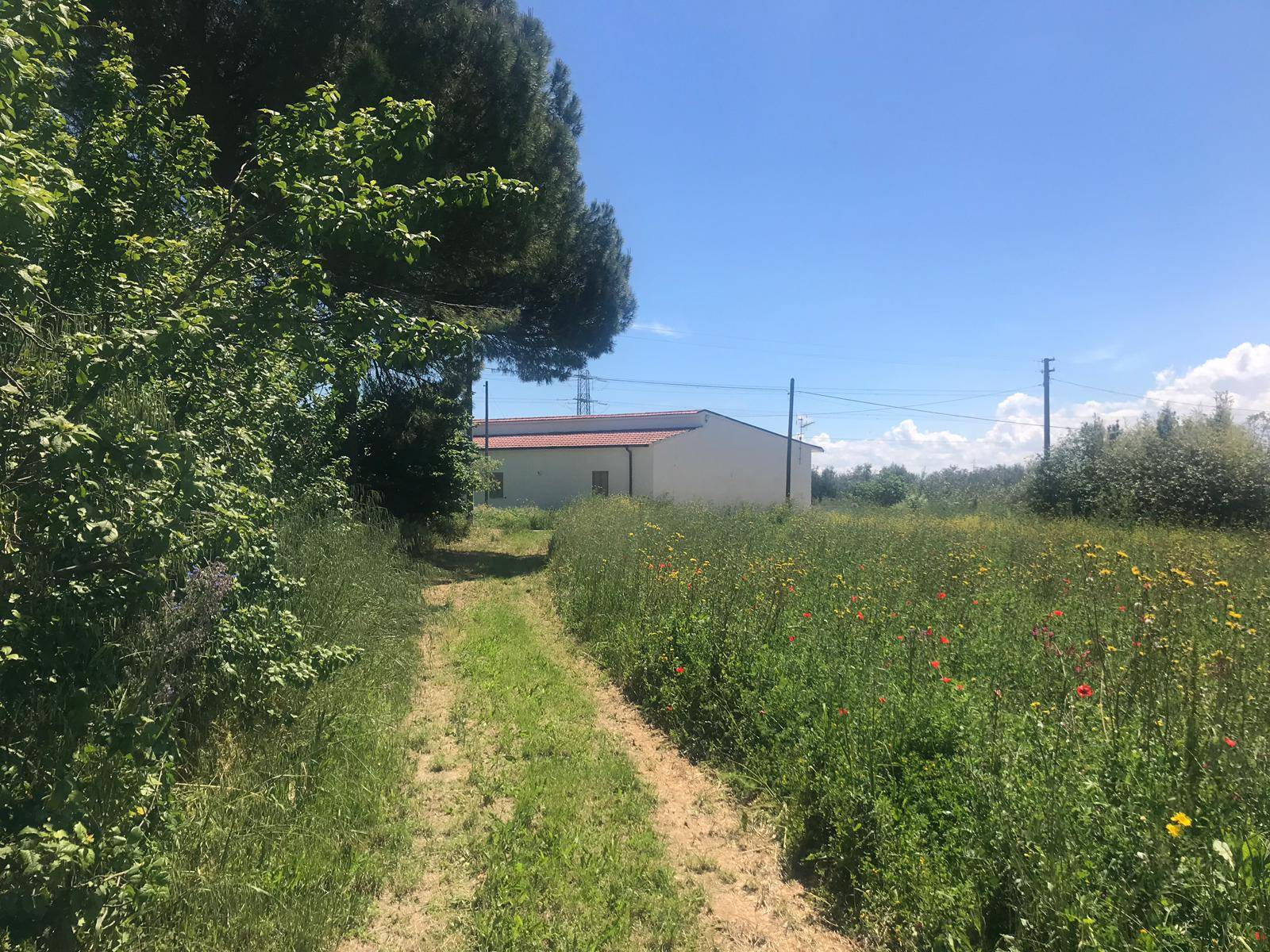 Terreno BENEVENTO vendita  CONTRADE  Iadanza servizi immobiliari RE