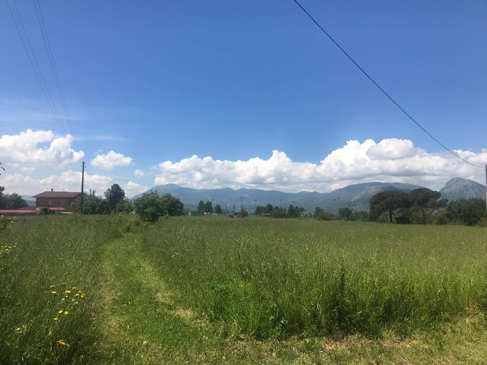 Terreno BENEVENTO vendita  CONTRADE  Iadanza servizi immobiliari RE