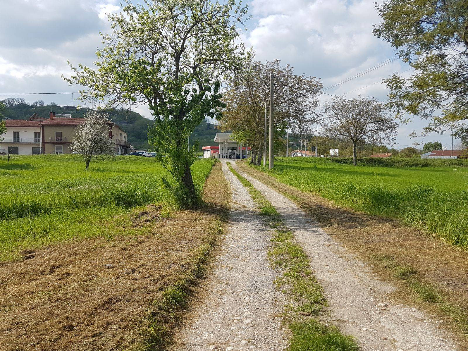 Terreno BENEVENTO vendita  CONTRADE  Iadanza servizi immobiliari RE