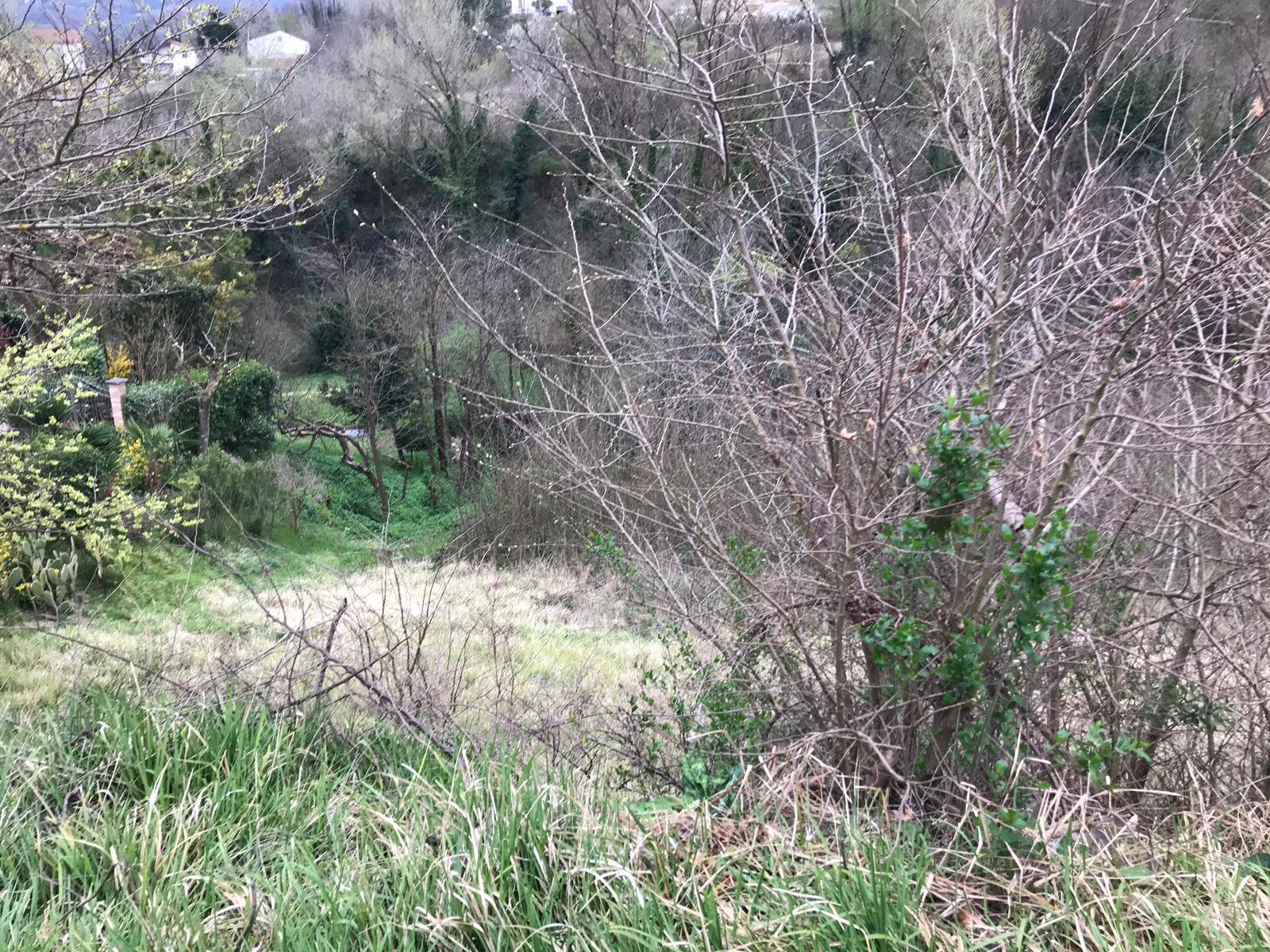 Terreno BENEVENTO vendita  CONTRADE  Iadanza servizi immobiliari RE
