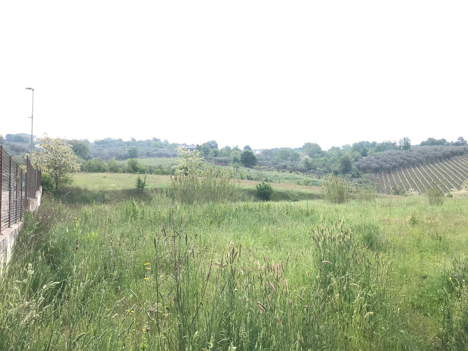 Terreno BENEVENTO vendita    Iadanza servizi immobiliari RE