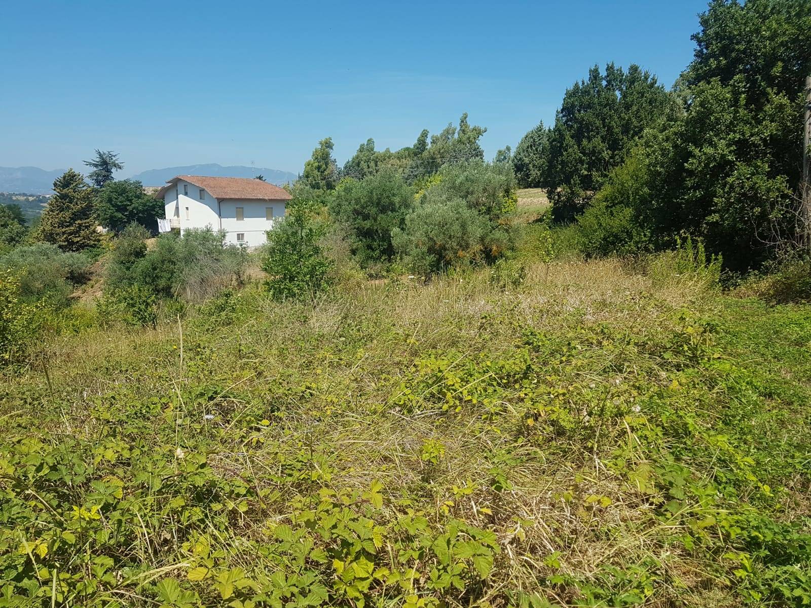 Terreno BENEVENTO vendita  Pacevecchia  Iadanza servizi immobiliari RE
