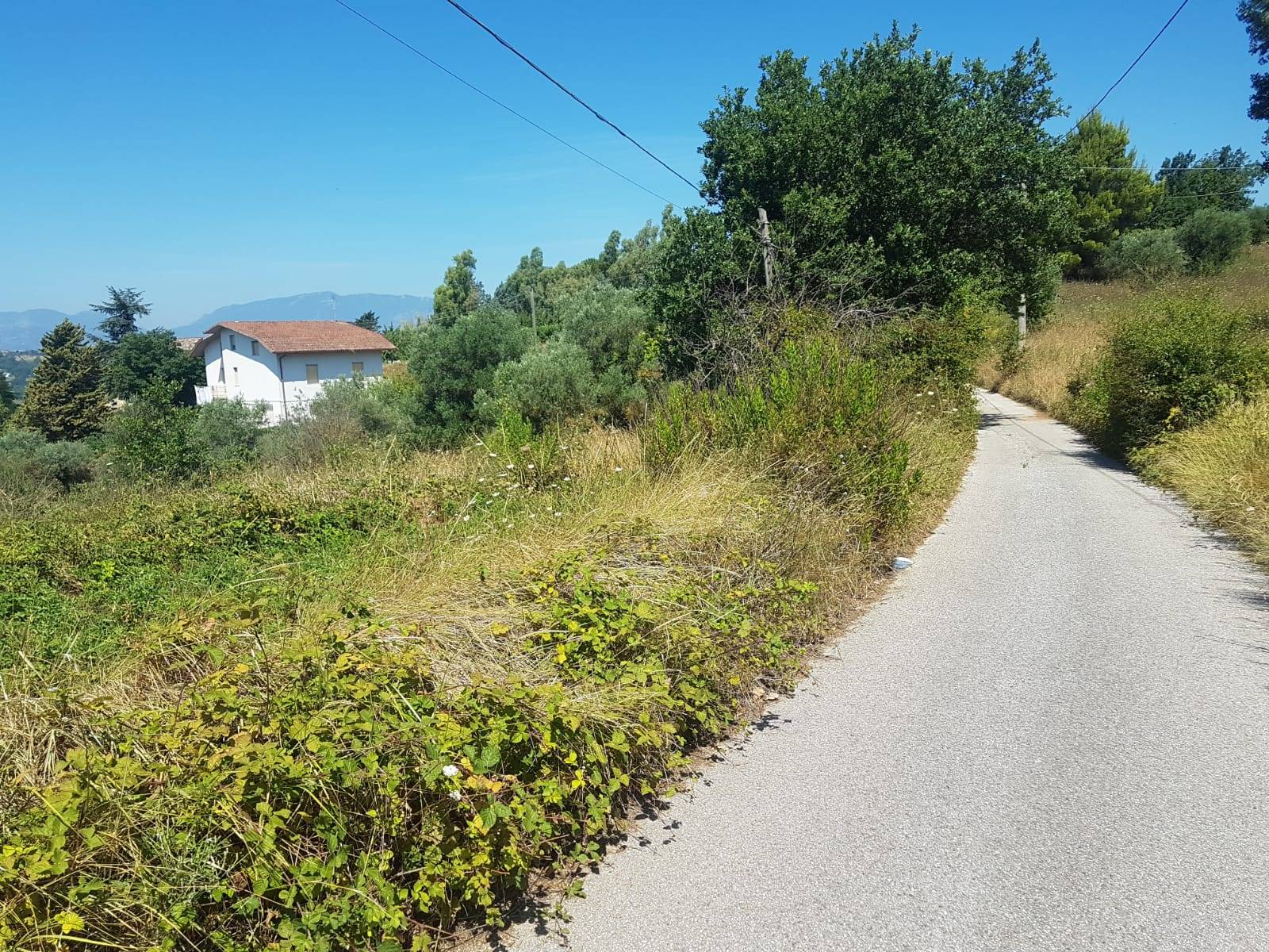 Terreno BENEVENTO vendita  Pacevecchia  Iadanza servizi immobiliari RE