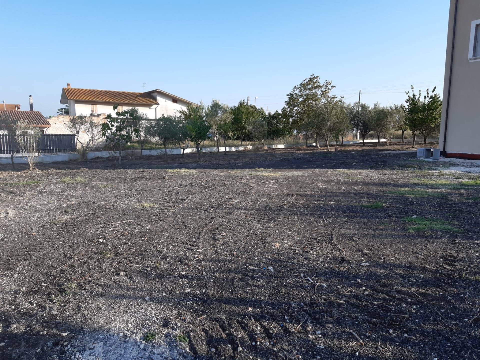 Villa Unifamiliare - Indipendente PIETRELCINA vendita    Iadanza servizi immobiliari RE