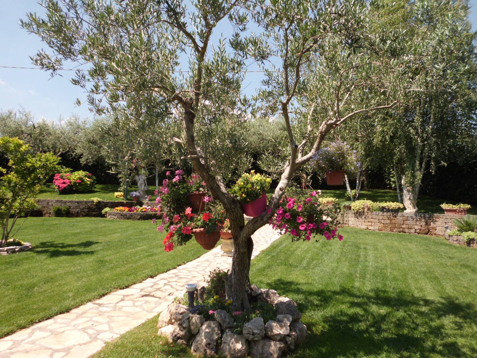 Villa Bifamiliare SAN GIORGIO DEL SANNIO vendita    Iadanza servizi immobiliari RE