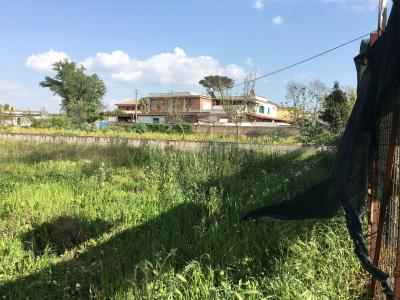 AGRICOLO a Giugliano in Campania