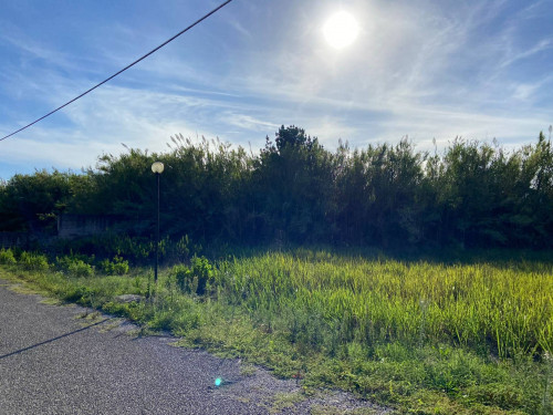 AGRICOLO a Giugliano in Campania