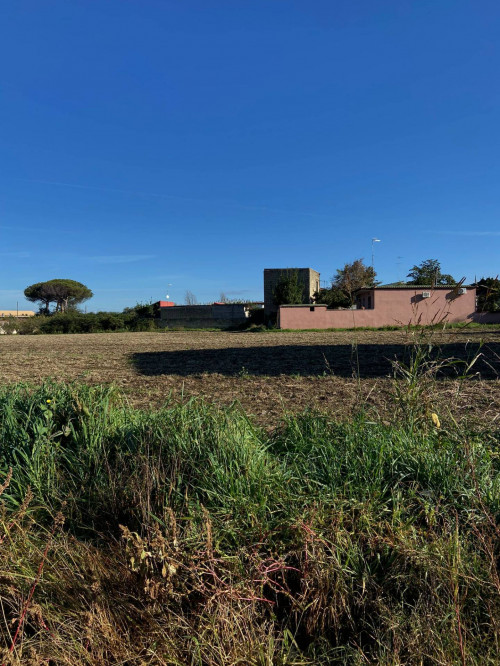 AGRICOLO a Giugliano in Campania