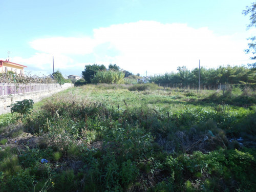 AGRICOLO a Giugliano in Campania