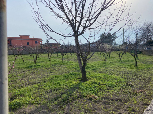 AGRICOLO a Giugliano in Campania