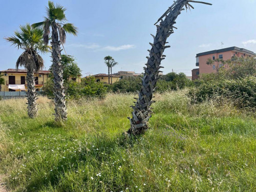 AGRICOLO a Giugliano in Campania