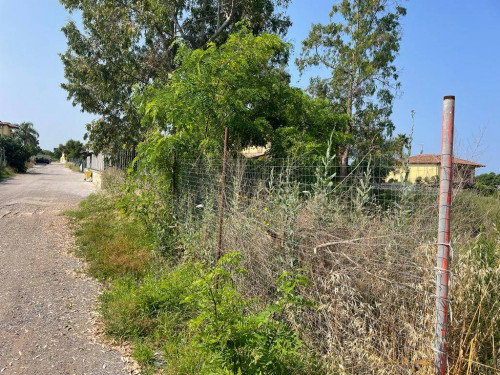 AGRICOLO a Giugliano in Campania