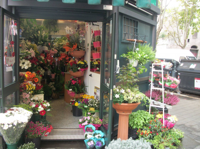 LICENZA/ATTIVITA COMM.LE a Roma