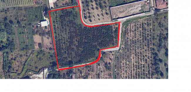 EDIFICABILE a Quarto