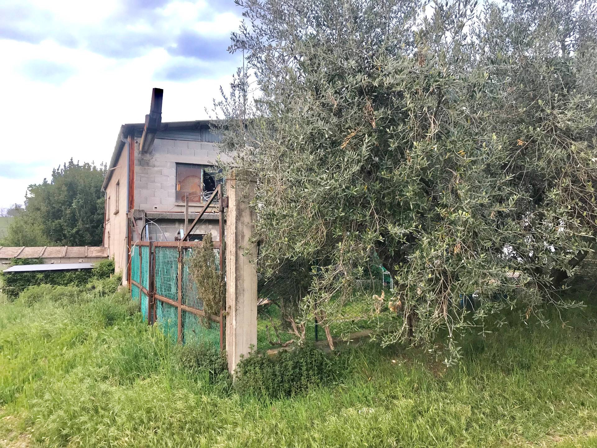 Terreno FERMO vendita    Metroquadro Agenzia Immobiliare