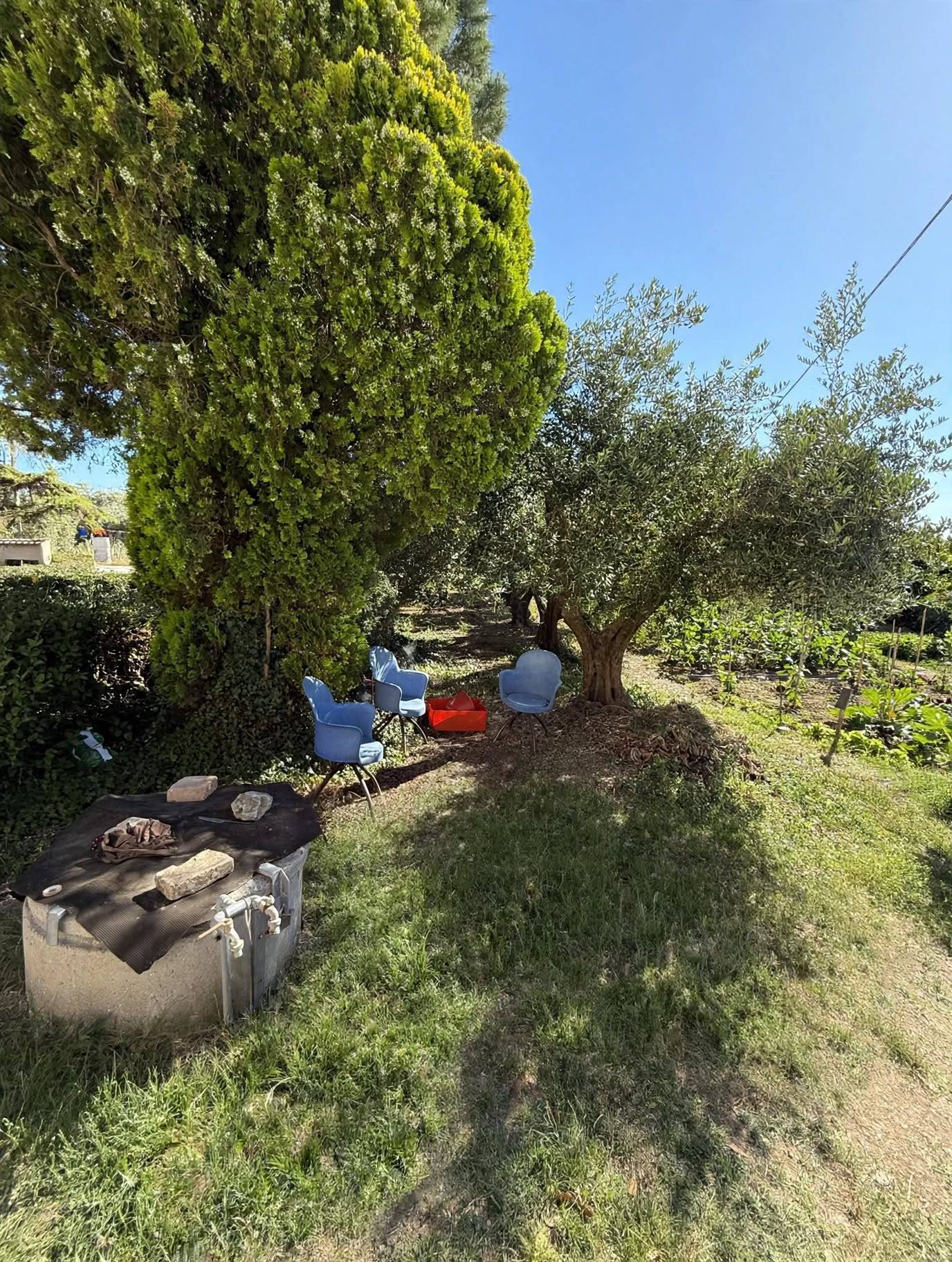 Appartamento in vendita a Fermo - foto 5