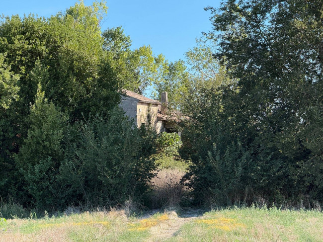 Rudere in vendita a Sant'Elpidio a Mare