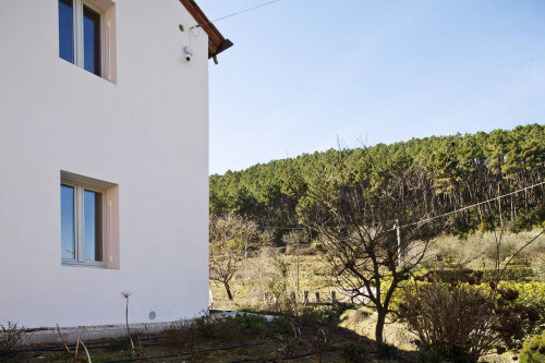 Rustico - Casale in vendita a Capannori