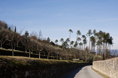 Rustico - Casale in vendita a Capannori