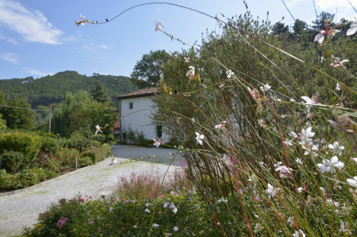 Rustico - Casale in vendita a Capannori