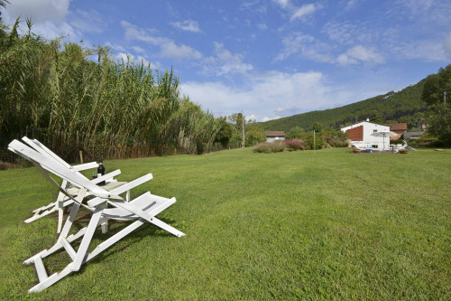 Rustico - Casale in vendita a Capannori