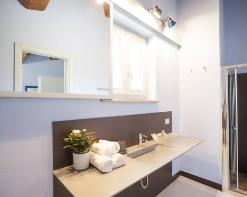 Rustico - Casale in vendita a Capannori