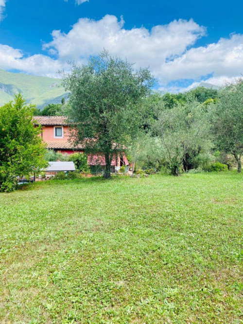 <span>Camaiore</span>