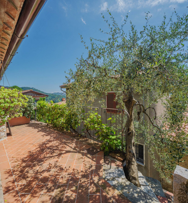 Casa indipendente in vendita a Camaiore (LU)