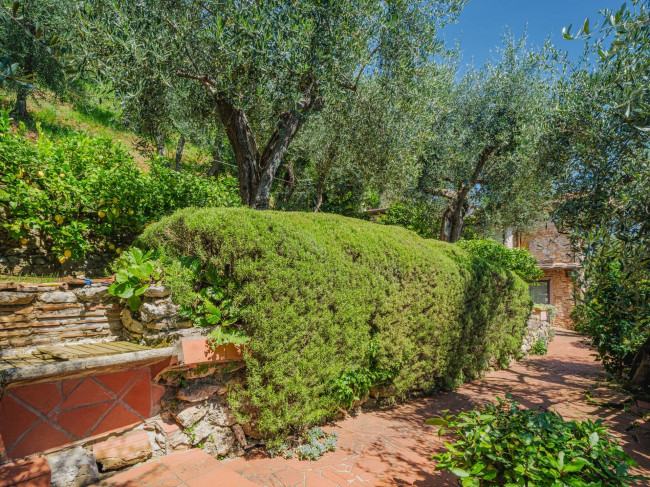 Casa indipendente in vendita a Camaiore (LU)