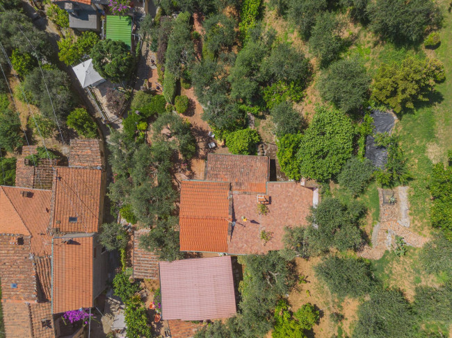 Casa indipendente in vendita a Camaiore (LU)