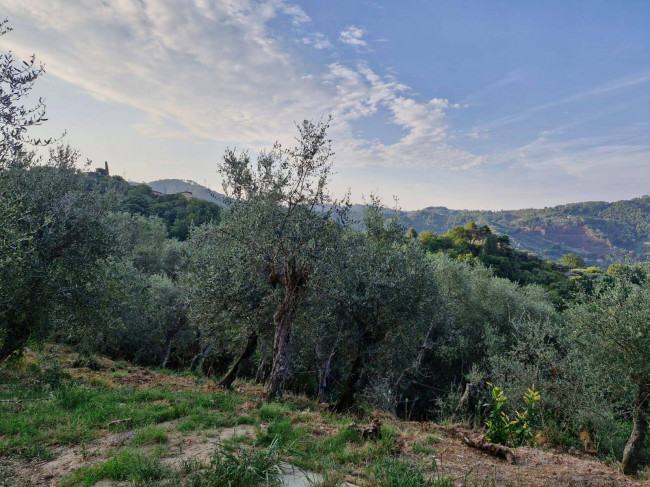 Casa indipendente in vendita a Camaiore (LU)