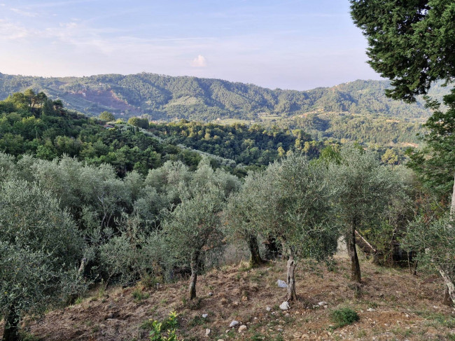 Casa indipendente in vendita a Camaiore (LU)