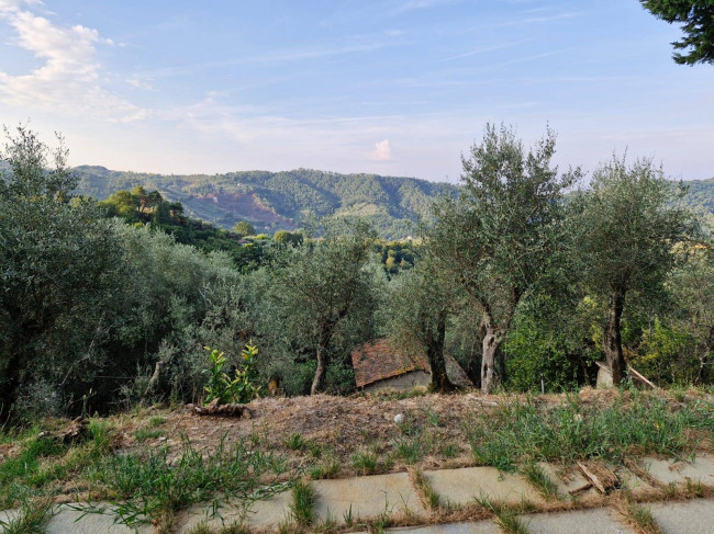 Casa indipendente in vendita a Camaiore (LU)