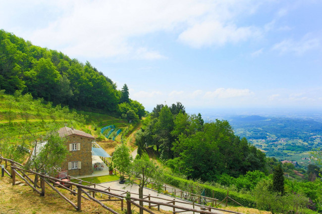 Rustico - Casale in vendita a Capannori