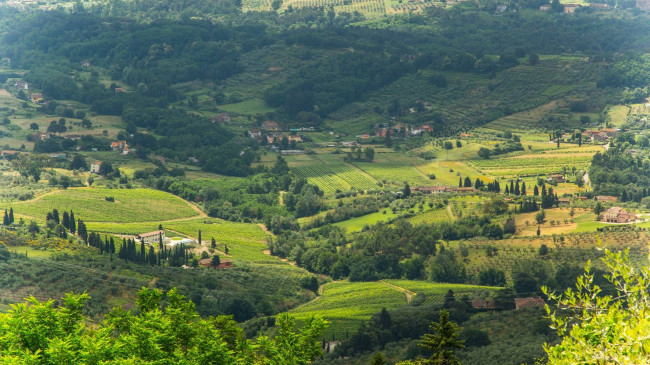 Rustico - Casale in vendita a Capannori